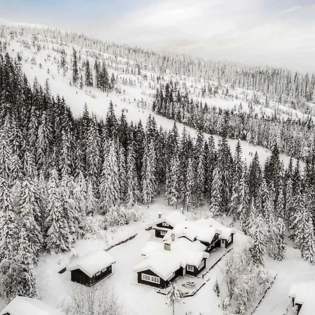 Th622- Premium Ski-In,Out Chalet With 8 Bedroom, Jacuzzi, Sauna Alpehytte *